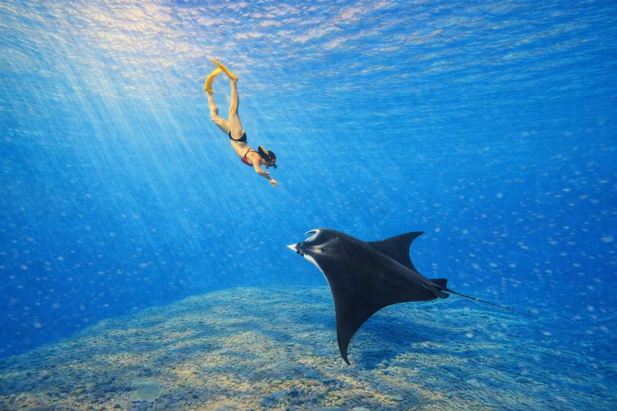 From Bali: Snorkeling 3 Spots with GoPro & West Penida Tour