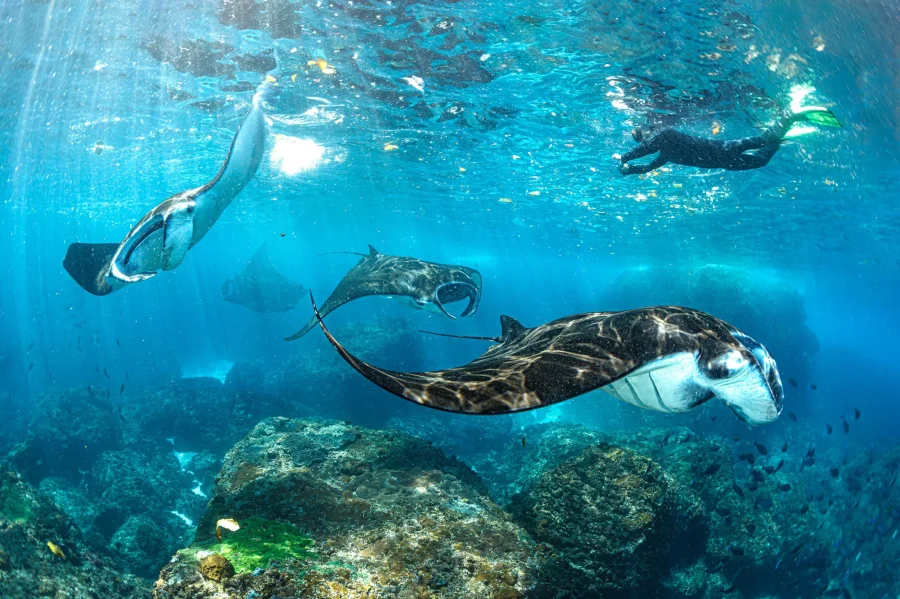 📅 Best Time to Visit Nusa Penida (Weather, Seasons & Travel Guide 2026)