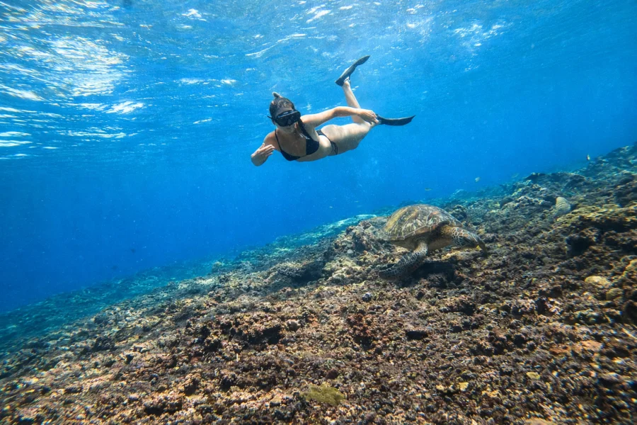 From Ubud: Guided Boat Manta Snorkeling & Kelingking Beach Gallery Image 3