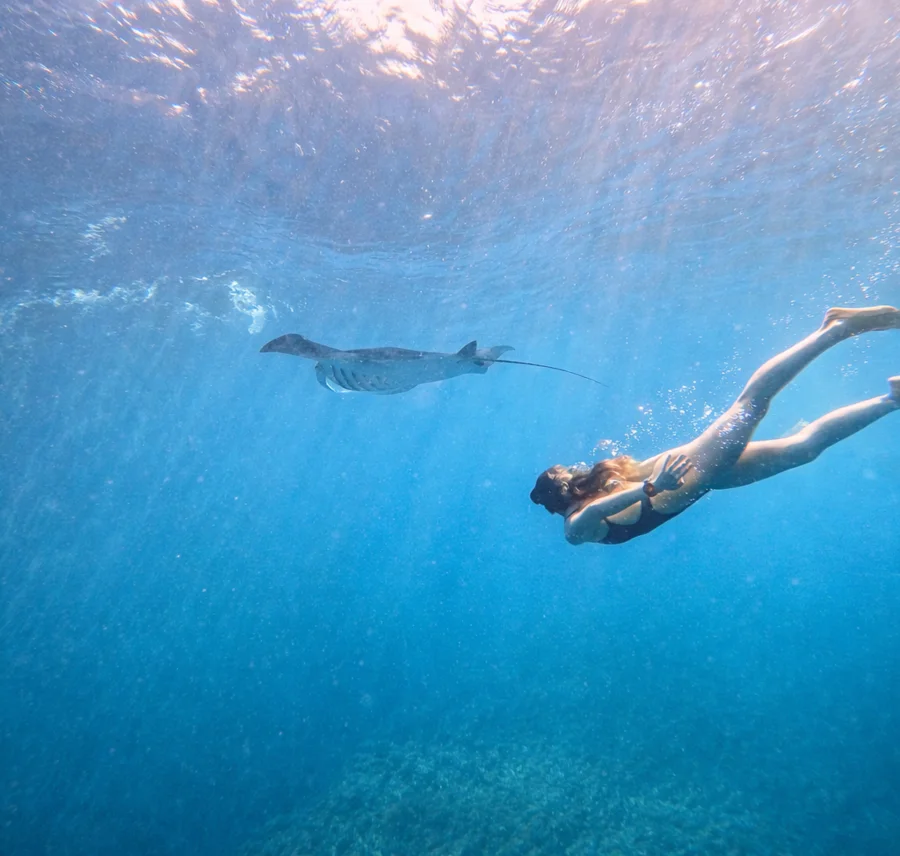 From Lembongan: 3 Spots Manta Bay & Private Land Tour